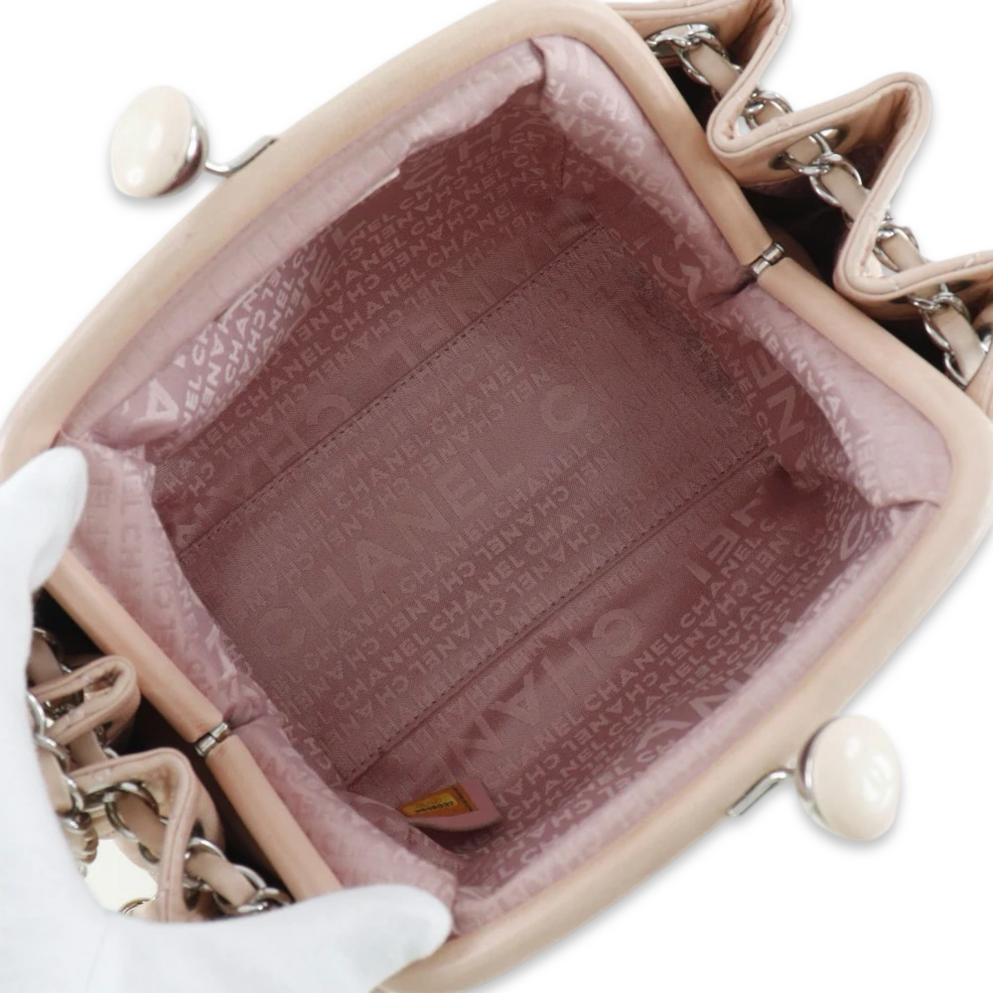 CHANEL BALLERINA PURSE ON CHAIN