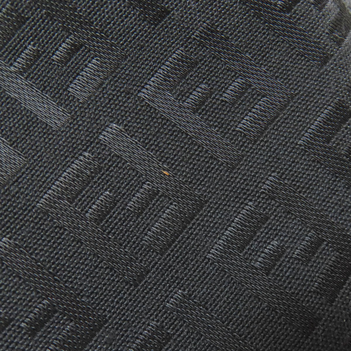 FENDI Tote Bag canvas black Zucchino