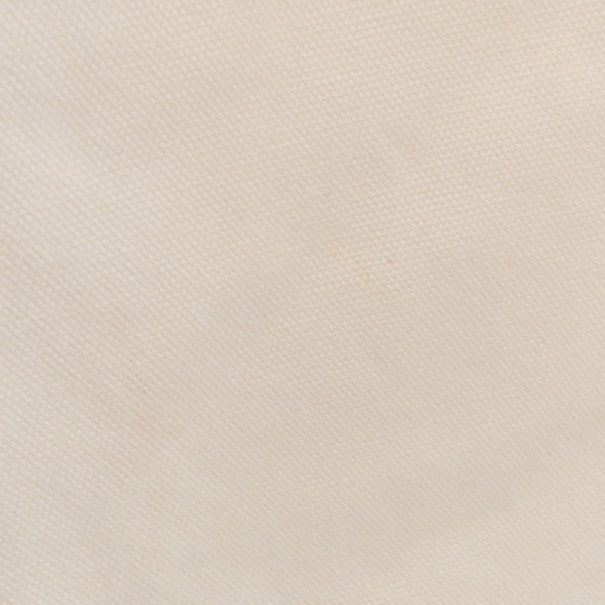 LOUIS VUITTON Tote Bag canvas white Fondation museum limited