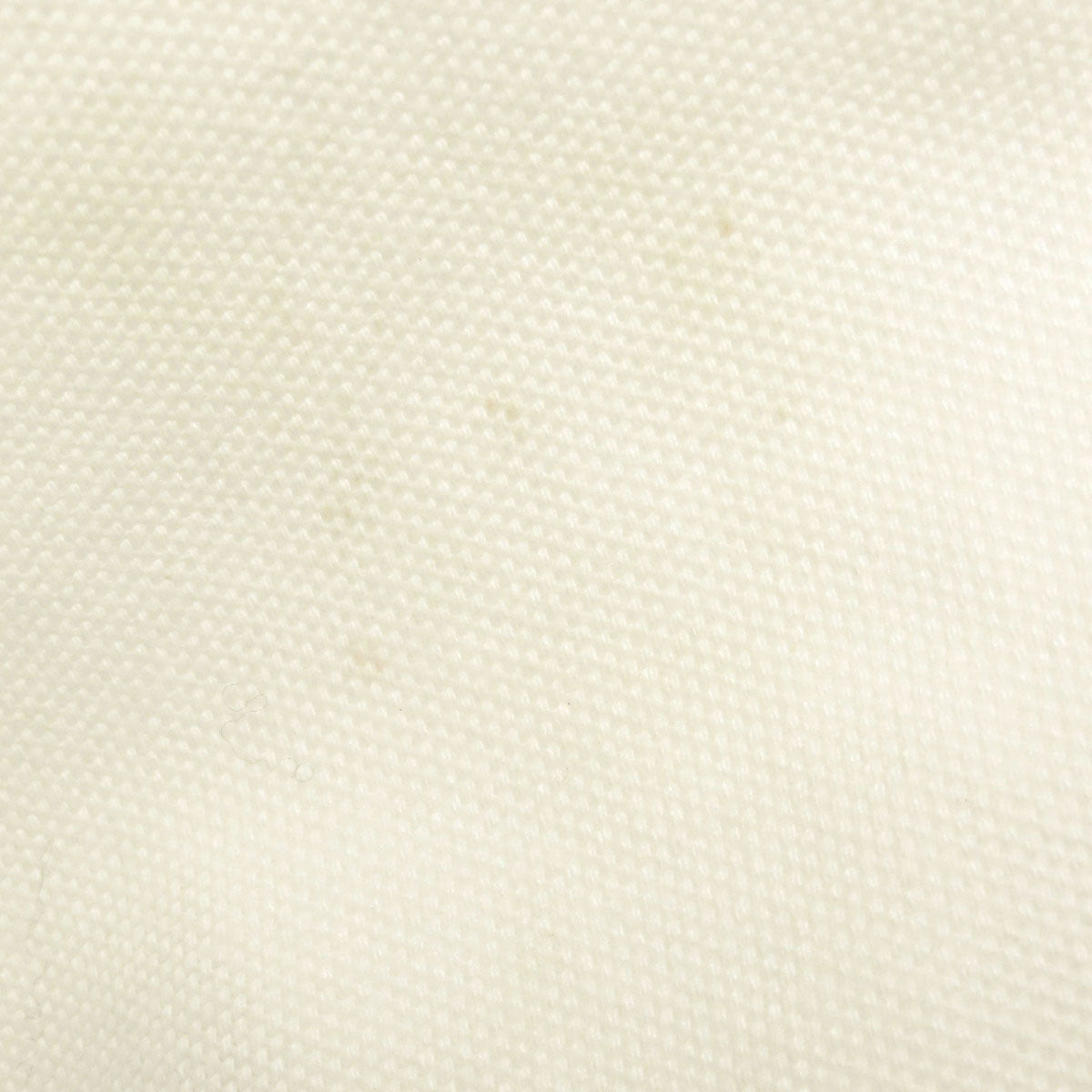 LOUIS VUITTON Tote Bag canvas white Fondation museum limited