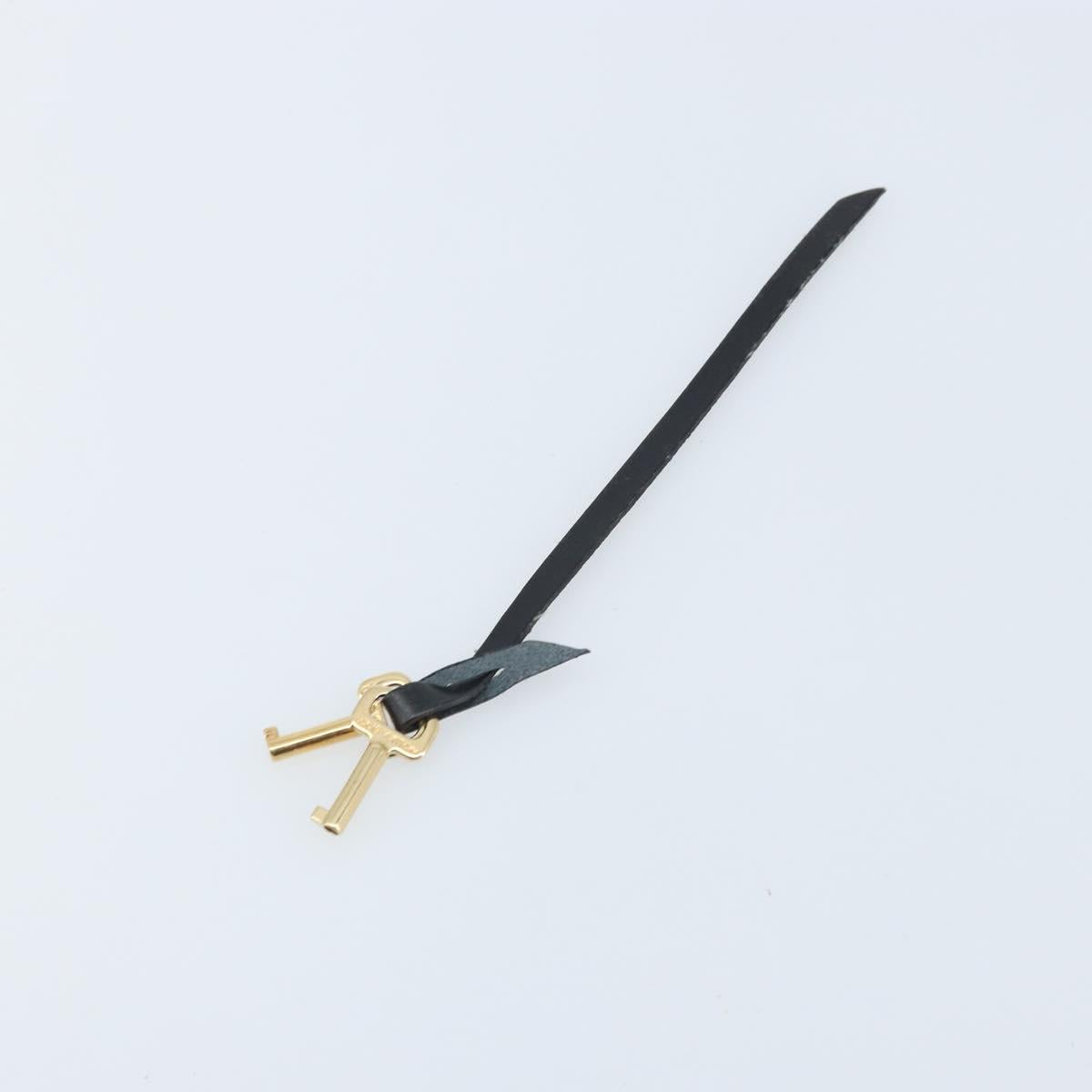 LOUIS VUITTON Dragonne Clutch Bag Epi Series Black Noir