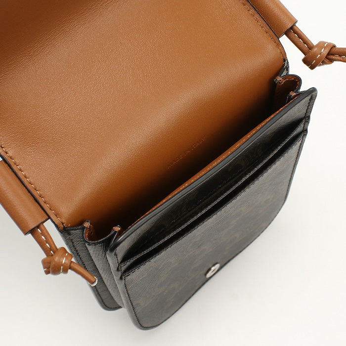 CELINE Mobile pouch Triomphe canvas Diagonal Shoulder Bag brown Women