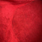 LOUIS VUITTON Handbag M48037 Epi Leather Castarian red Handbag Epi Cannes Women Used Authentic