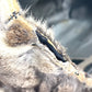 FENDI Tote Bag fur beige fur