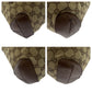 GUCCI Tote Bag 019 0402 GG canvas Brown Beige SilverMetal Tote Bag Shoulder Bag Women Used Authentic
