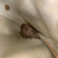 GUCCI Tote Bag 02 003 53 GG Supreme Canvas Brown Gold Metal Old Gucci Shelly Line