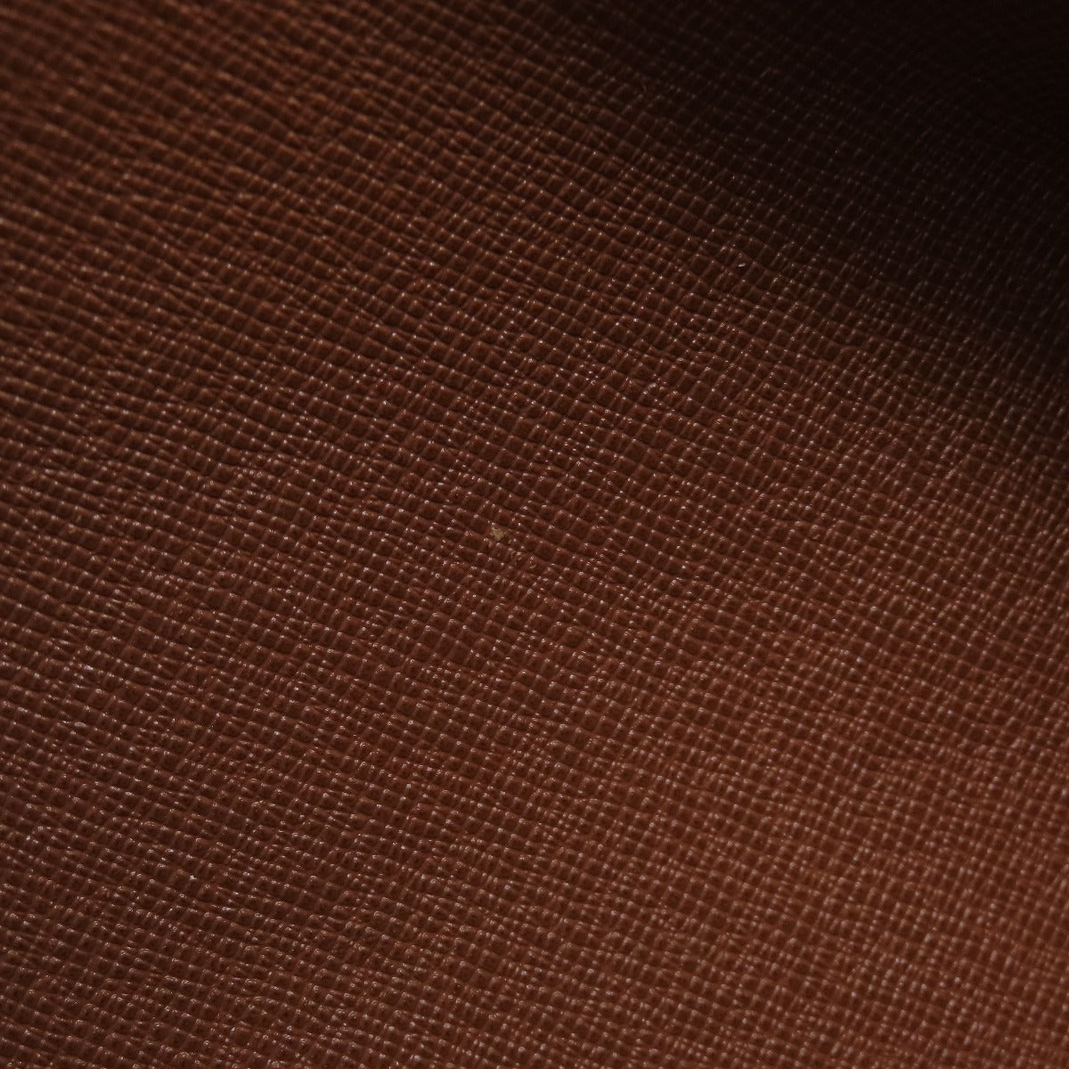 LOUIS VUITTON Handbag M51366 Monogram canvas Brown Papillon 26 Old Monog Lamb