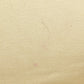 LOEWE Tote Bag canvas white Paula's Ibiza Women Used Authentic