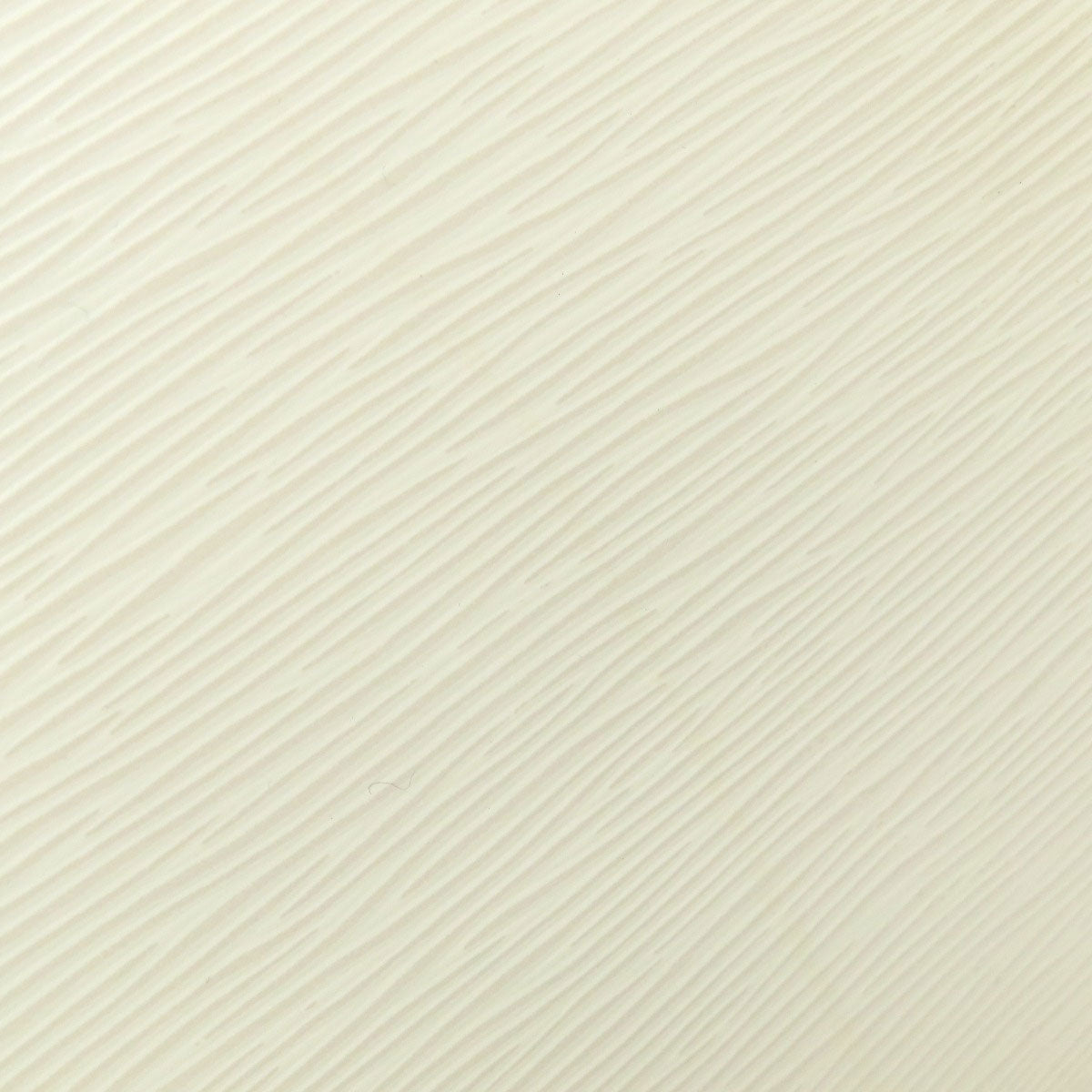 LOUIS VUITTON Tote Bag M40334 Epi white Blair GM