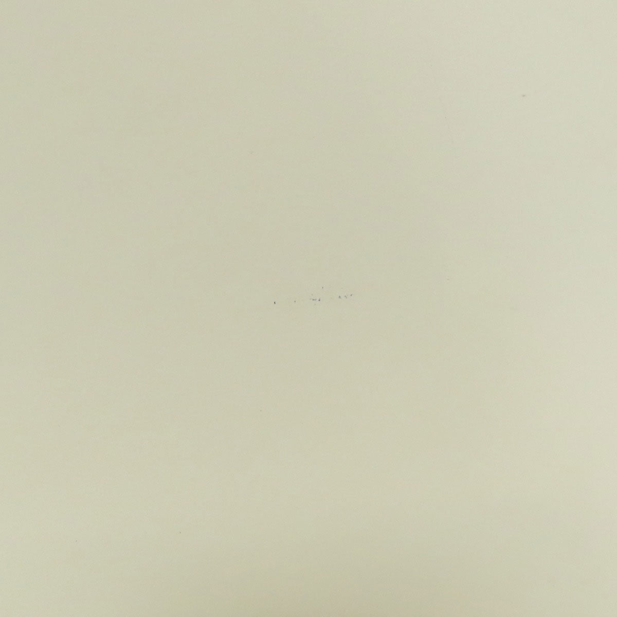 LOUIS VUITTON Tote Bag M40334 Epi white Blair GM