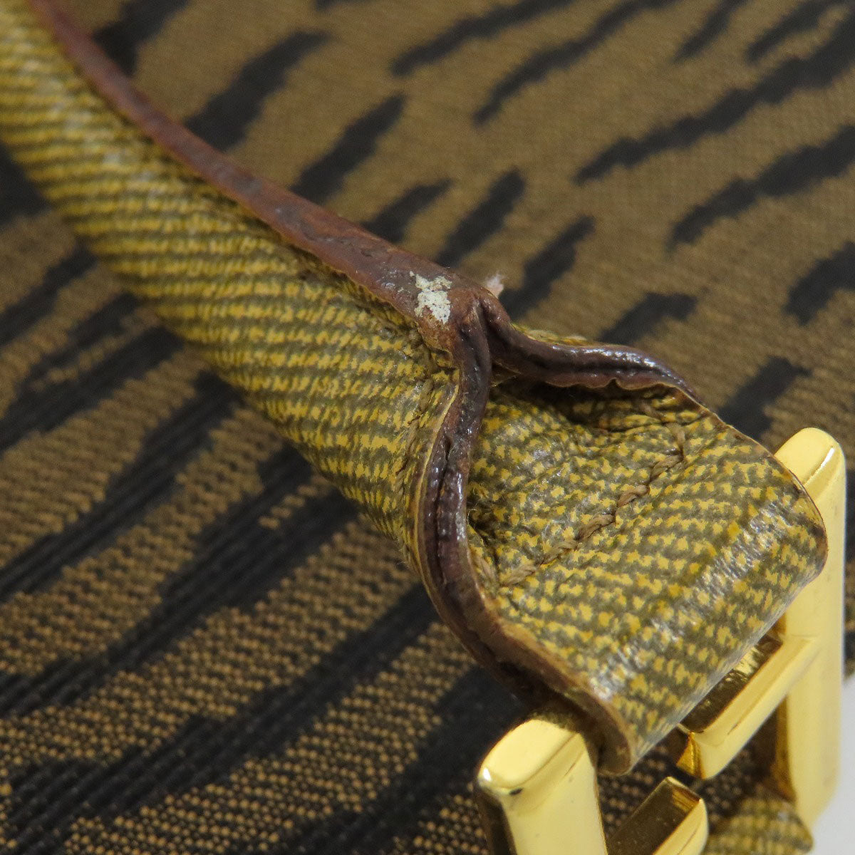 FENDI Handbag canvas Brown Tiger pattern