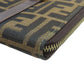 FENDI Handbag canvas Brown Zucca Pattern