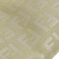 FENDI Handbag canvas beige Zucca Pattern