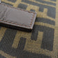 FENDI Tote Bag canvas Brown Zucca Pattern