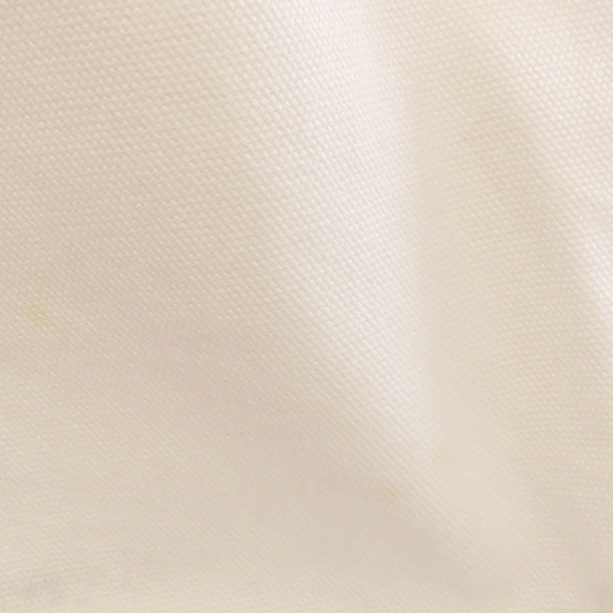 LOUIS VUITTON Tote Bag canvas white Fondation museum limited