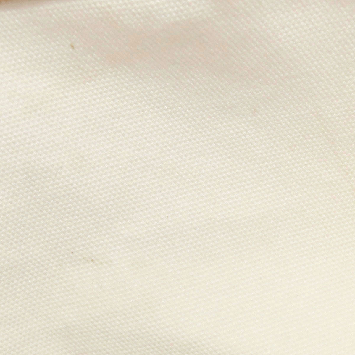 LOUIS VUITTON Tote Bag canvas white Fondation museum limited