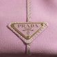 PRADA Handbag 1BG439 canvas pink Canapa mini 2 WAY