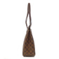 LOUIS VUITTON Tote Bag N51123 Damier canvas Brown Parioli