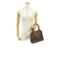 CELINE Handbag leather Brown Macadam Blason TriomphePattern Women Used Authentic