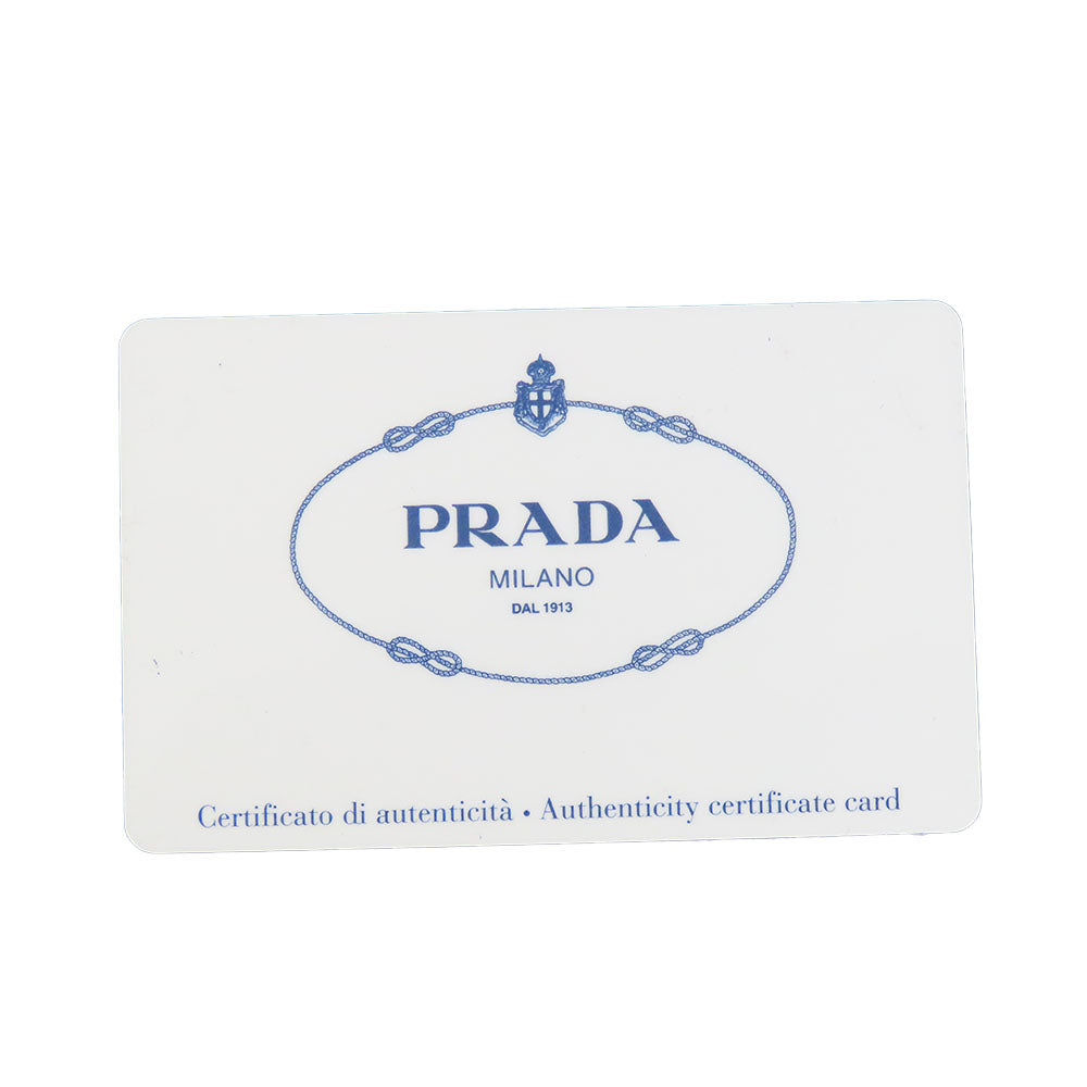 PRADA Handbag B2642B canvas Blue type Canapa Women Used Authentic