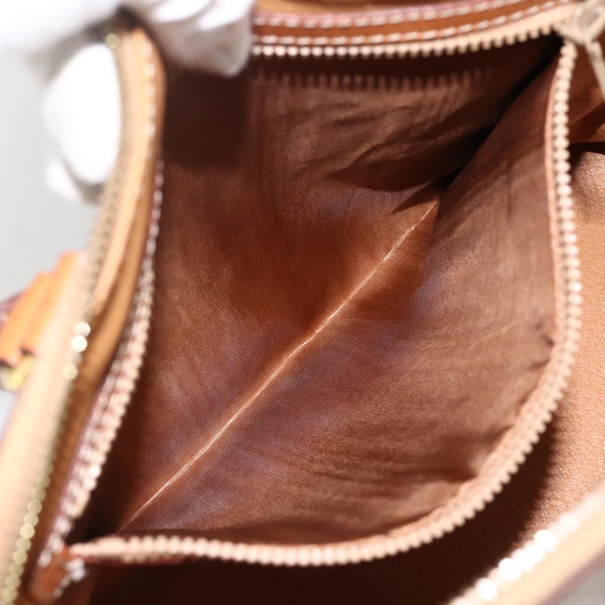 CELINE Two Way Macadam Canvas HandBag Beige Gold