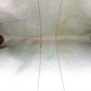 GUCCI Clutch bag Beige Brown Green type Sherry Line Old Gucci