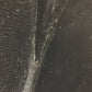 LOUIS VUITTON Clutch bag M63962 leather black Epi Aegean Opera