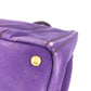 PRADA Handbag canvas purple logo Canapa