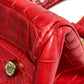 CELINE Handbag leather Red belt Embossing Women Used Authentic