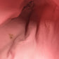 Dior Shoulder Bag Canvas / leather pink Trotter Vintage logo Women Used Authentic