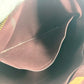 LOUIS VUITTON Handbag M44543 Monogram canvas Brown Monogram Rivory PM