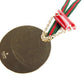 GUCCI charm Gold x Red x Green Sherry line