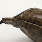 FENDI 7VA446 body bag Zucca Belt bag/Crossbody bag PVC Brown mens(unisex)